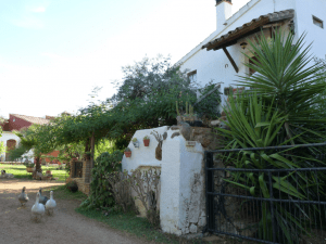 Fotos casitas rurales de El Castaño en El Pedroso