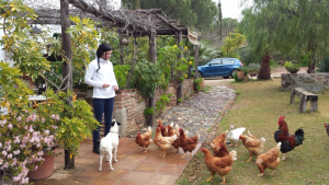 Animales en la finca el Castaño: Casa Rural en el Pedroso