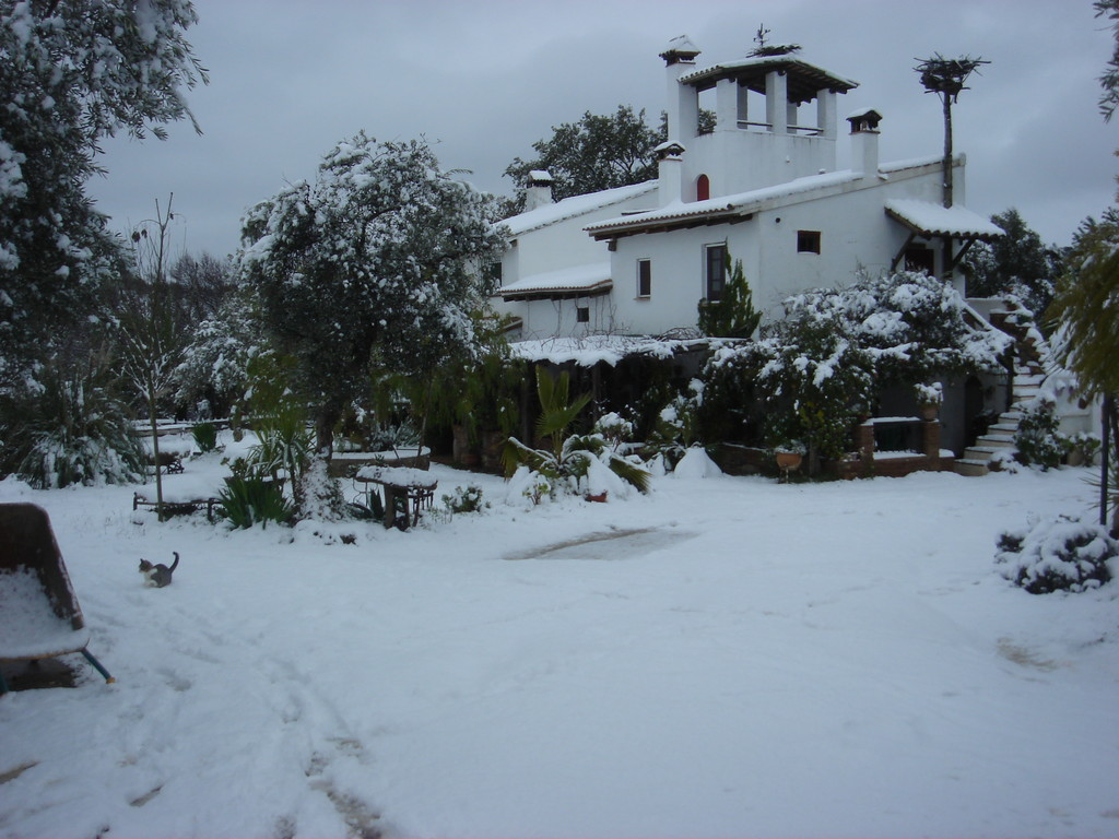 Finca el Castaño nevada: Casa rural con encanto en el Pedroso
