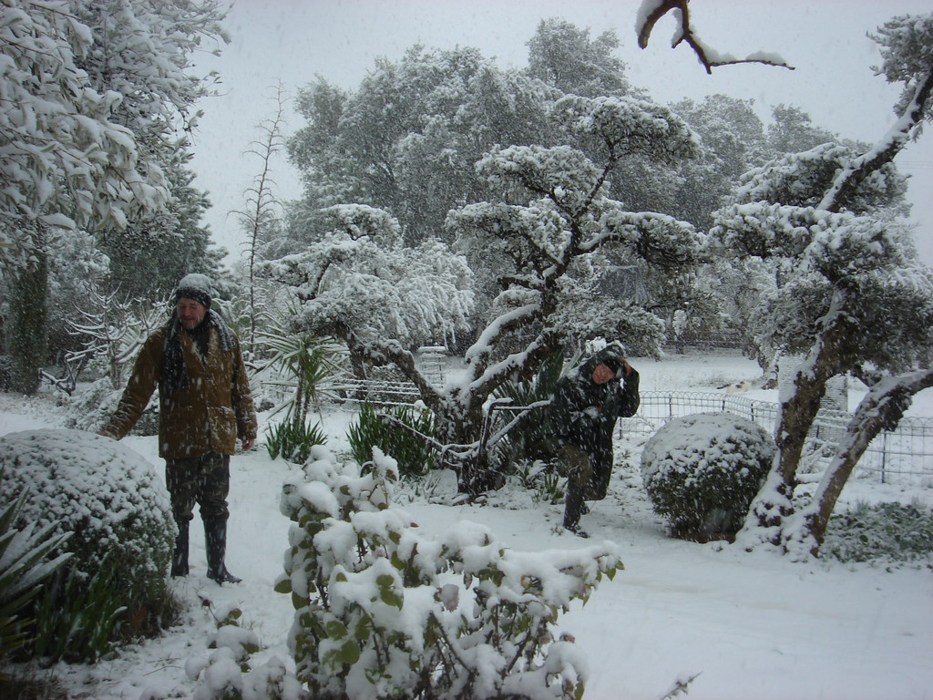 Finca el Castaño nevada: Casa rural con encanto en el Pedroso